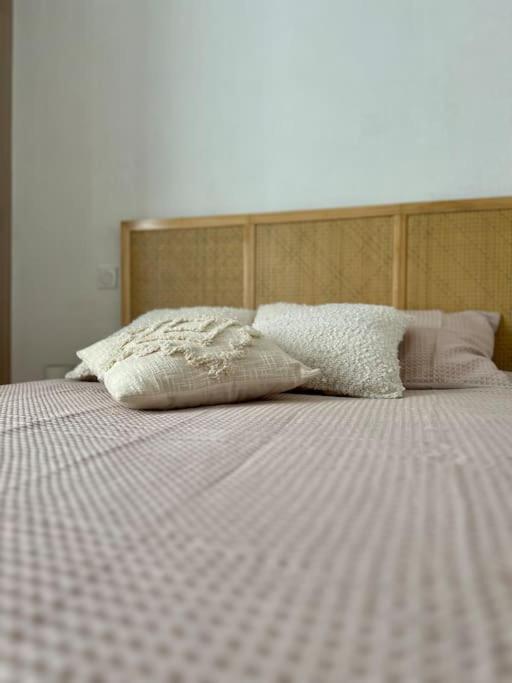 Apartment Le Petit Rameau - T2 Hypercentre
